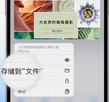 古浪apple维修中心分享iPhone文件应用中存储和找到下载文件