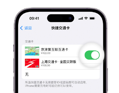 古浪apple维修点分享iPhone上更换Apple Pay快捷交通卡手绘卡面 