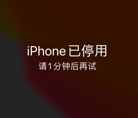 古浪苹果手机维修分享:iPhone 显示“不可用”或“已停用”怎么办？还能保留数据吗？ 