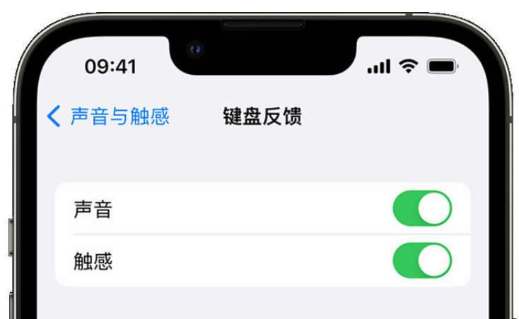 古浪苹果手机维修分享iPhone 14触感键盘使用方法 