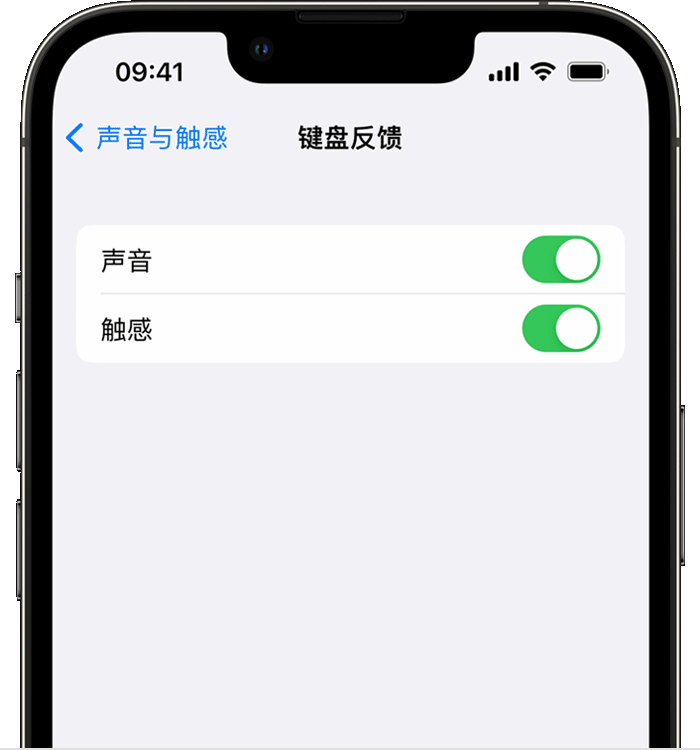 古浪苹果14维修店分享如何在 iPhone 14 机型中使用触感键盘 