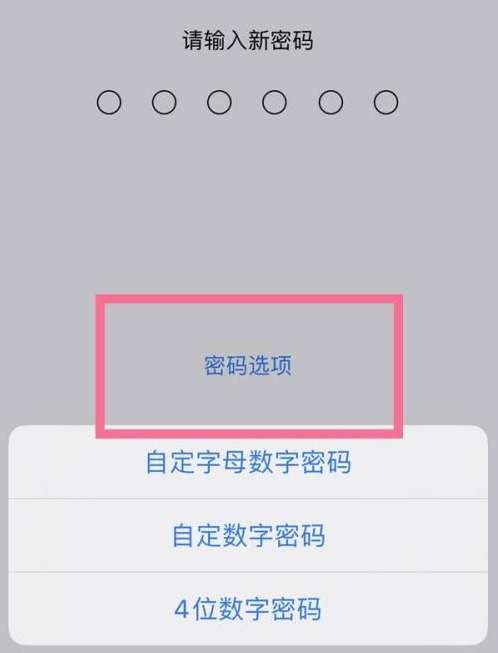 古浪苹果14维修分享iPhone 14plus设置密码的方法 