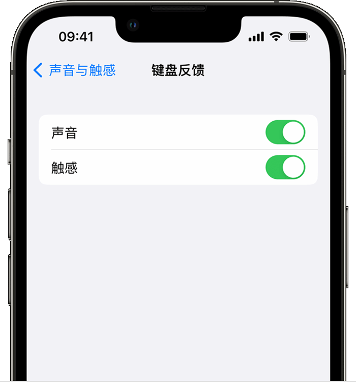 古浪苹果14维修分享iPhone 14 系列机型如何开启键盘声音或触感反馈 