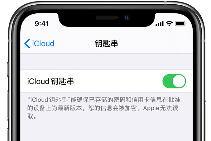 古浪苹果手机维修分享在 iPhone 上开启 iCloud 钥匙串之后会储存哪些信息 