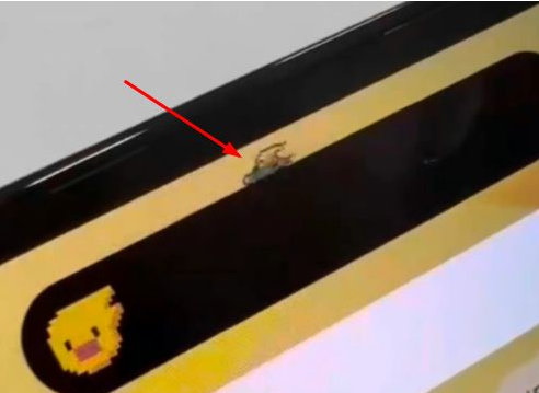 古浪苹果14维修分享iPhone 14 Pro Max灵动岛怎么养宠物 