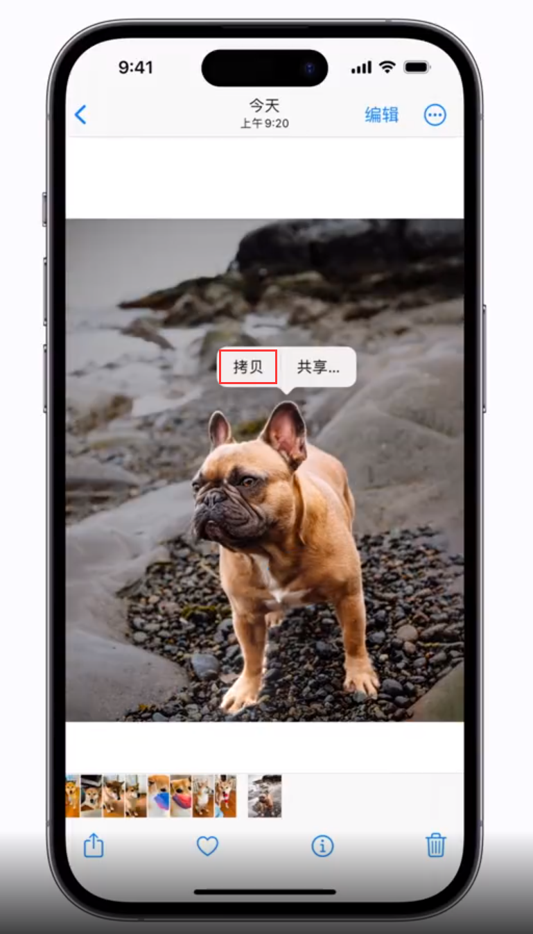 古浪苹果手机维修分享 iOS 16 自带一键抠图功能 