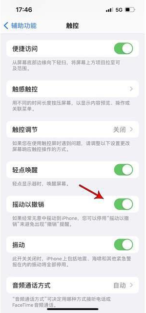 古浪苹果手机维修分享iPhone手机如何设置摇一摇删除文字 