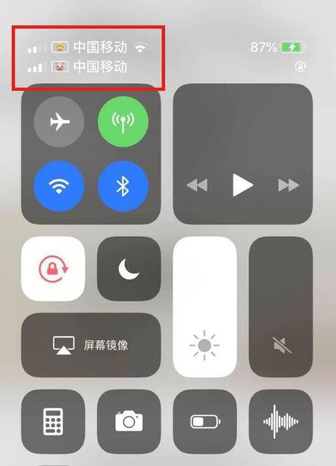 古浪苹果手机维修分享为 iPhone 12 双卡设置标签 